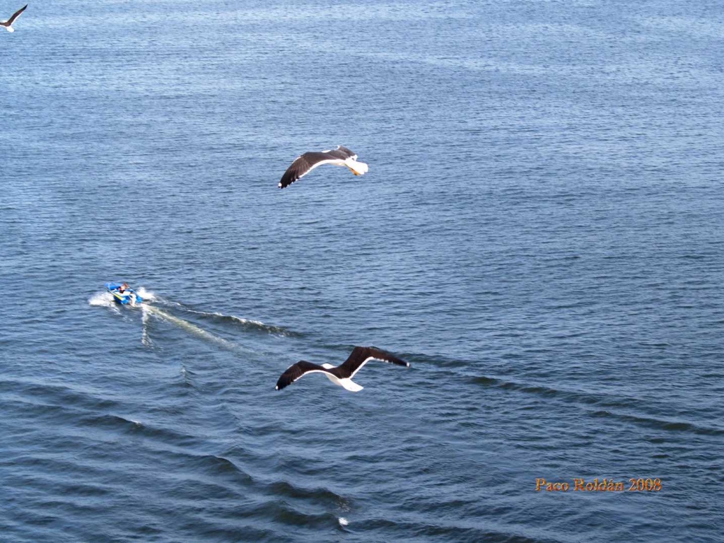 Foto de Estocolmo, Suecia