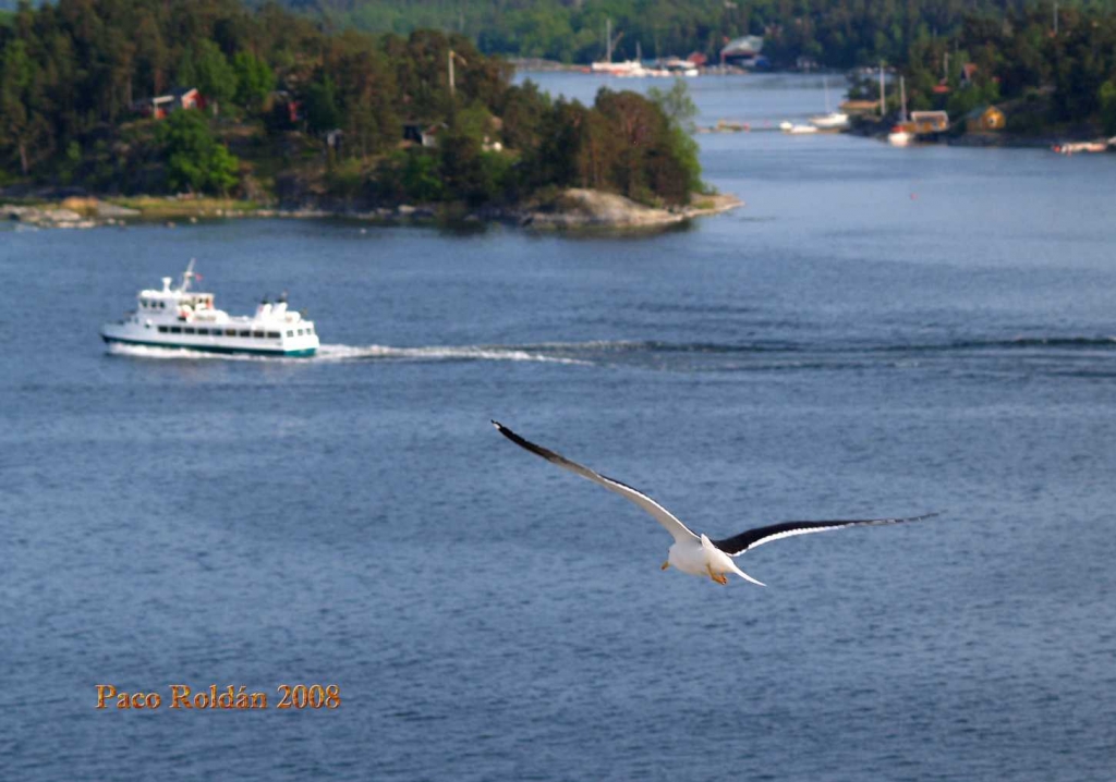 Foto de Estocolmo, Suecia