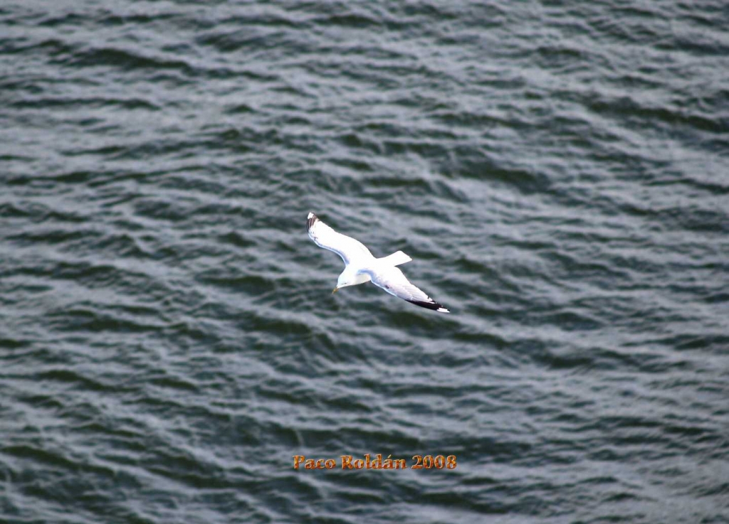 Foto de Estocolmo, Suecia