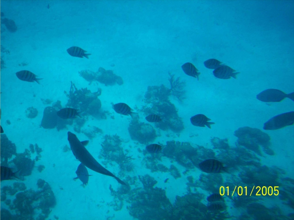Foto de Isla San Andres, Colombia