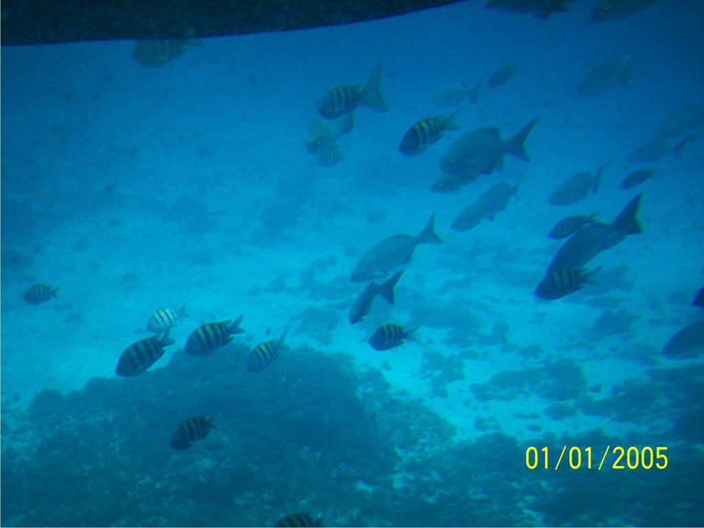 Foto de Isla San Andres, Colombia