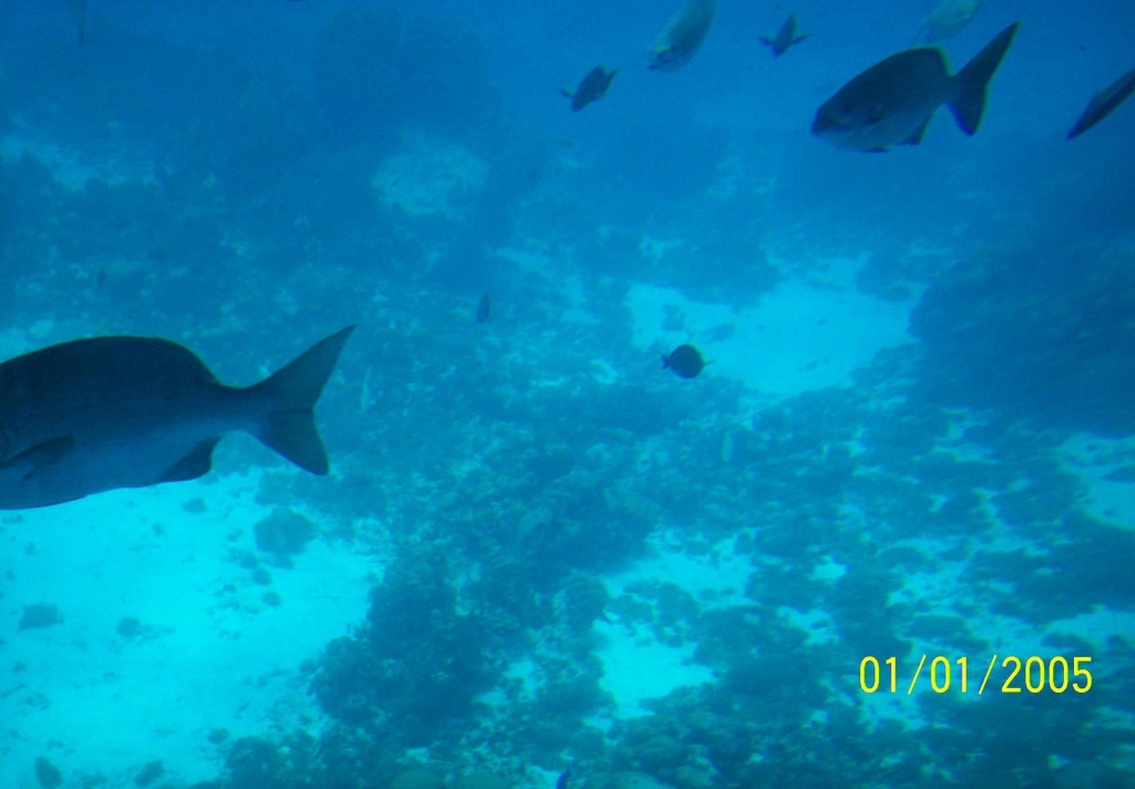 Foto de Isla San Andres, Colombia