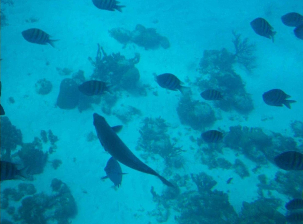 Foto de Isla San Andres, Colombia