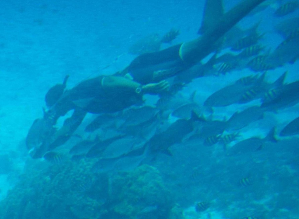 Foto de Isla San Andres, Colombia