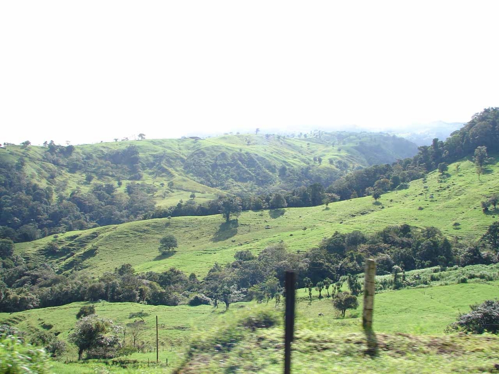 Foto de San Carlos (Alajuela), Costa Rica