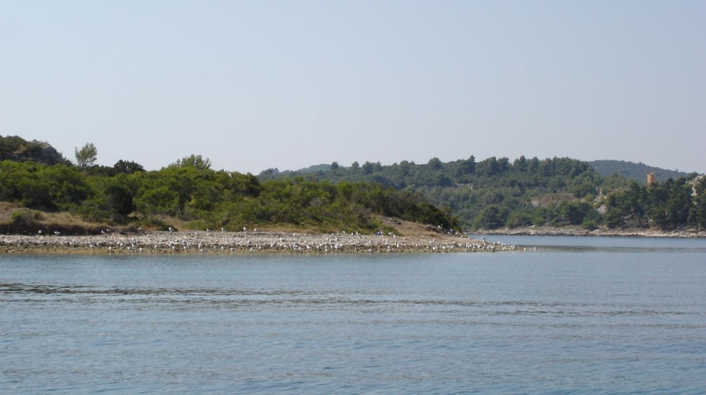 Foto de Korcula, Croacia
