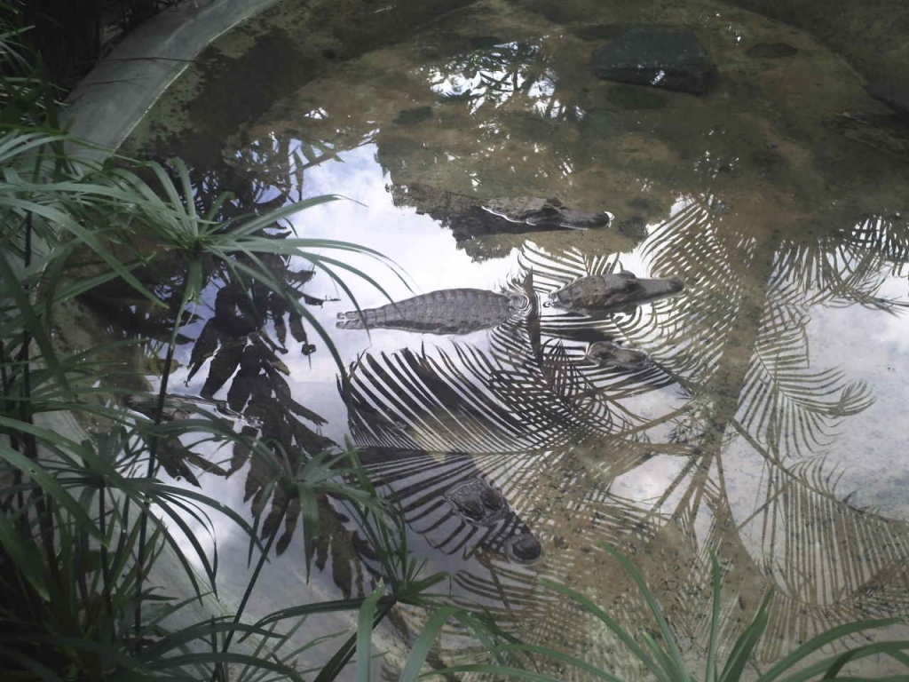 Foto de Caricuao, Venezuela