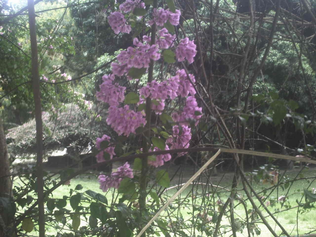 Foto de Caricuao, Venezuela