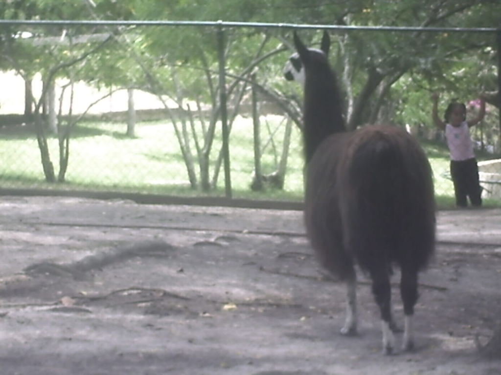 Foto de Caricuao, Venezuela