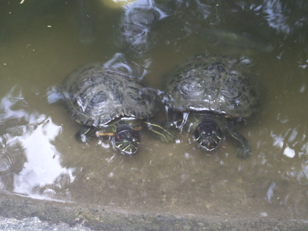 Foto de Caricuao, Venezuela