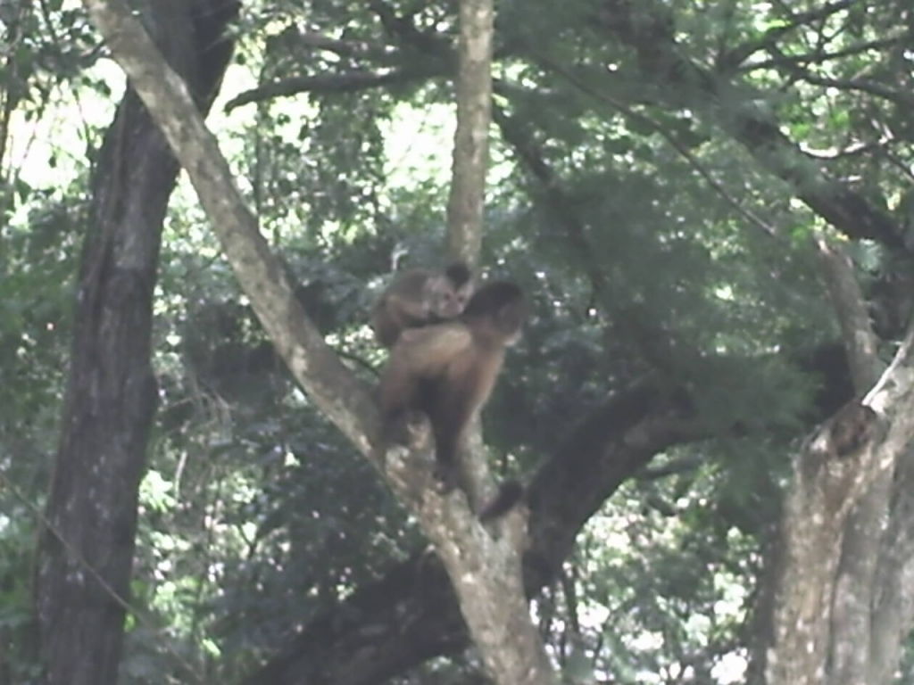 Foto de Caricuao, Venezuela