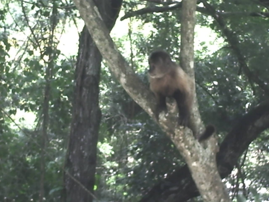 Foto de Caricuao, Venezuela