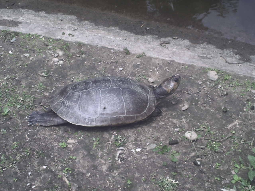 Foto de Caricuao, Venezuela