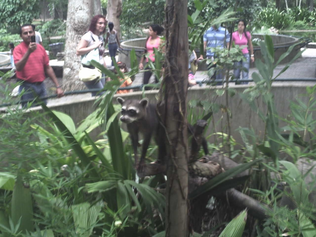 Foto de Caricuao, Venezuela