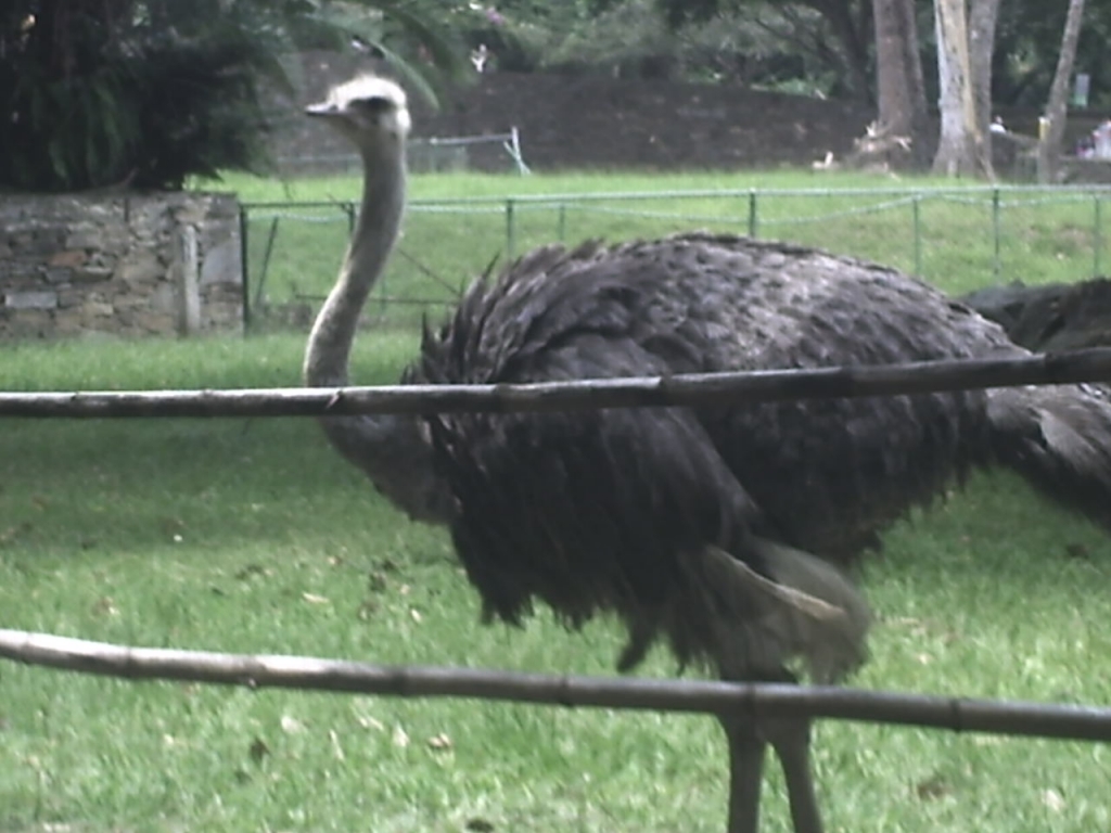 Foto de Caricuao, Venezuela