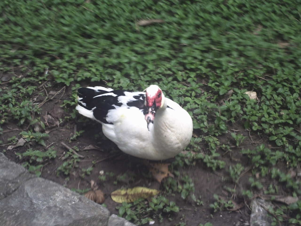 Foto de Caricuao, Venezuela