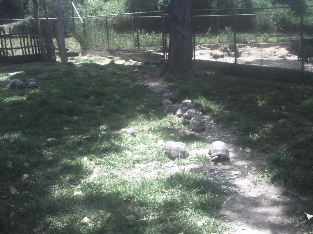 Foto de Caricuao, Venezuela