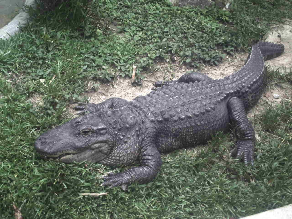 Foto de Caricuao, Venezuela