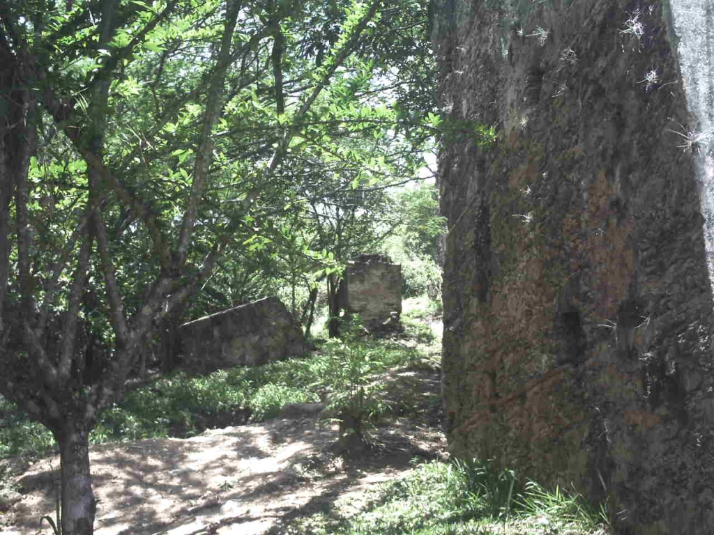 Foto de Caricuao, Venezuela