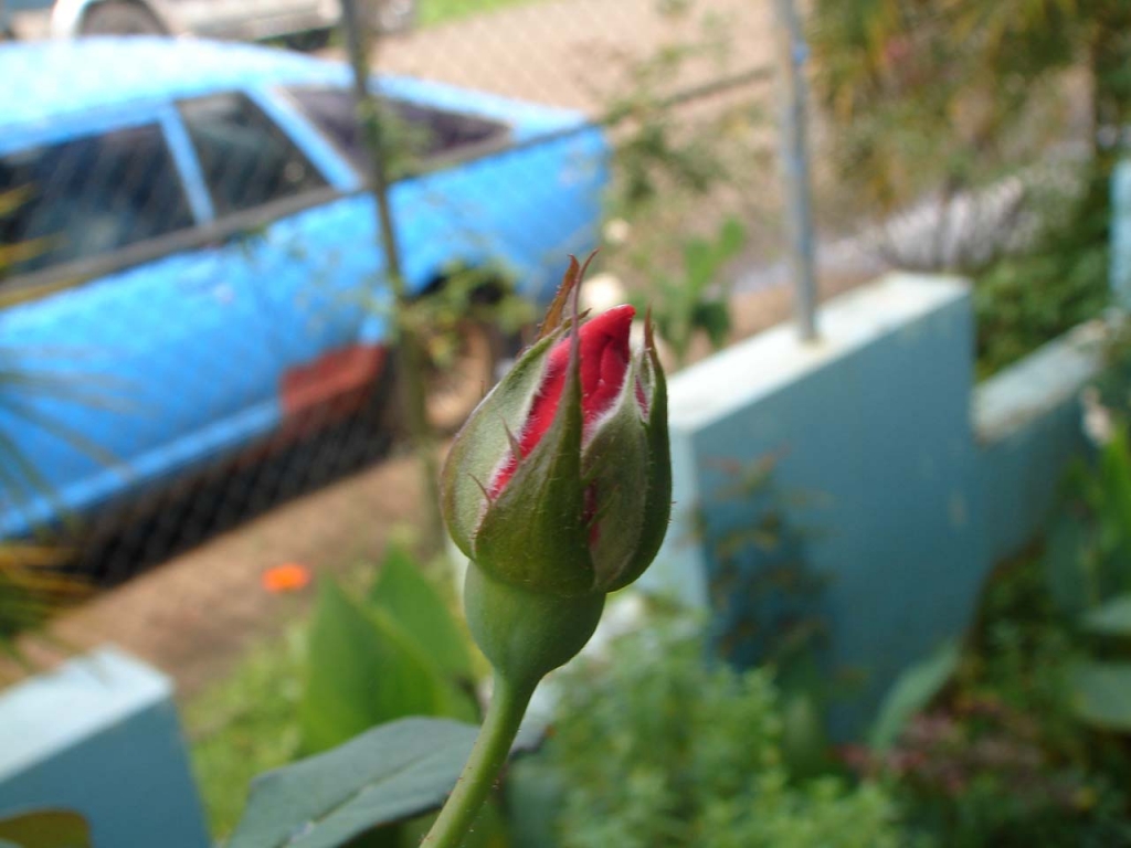 Foto de Pocosol (San Carlos), Costa Rica