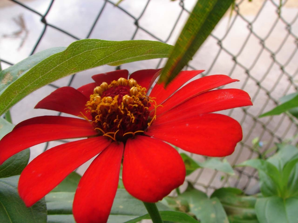 Foto de Pocosol (San Carlos), Costa Rica