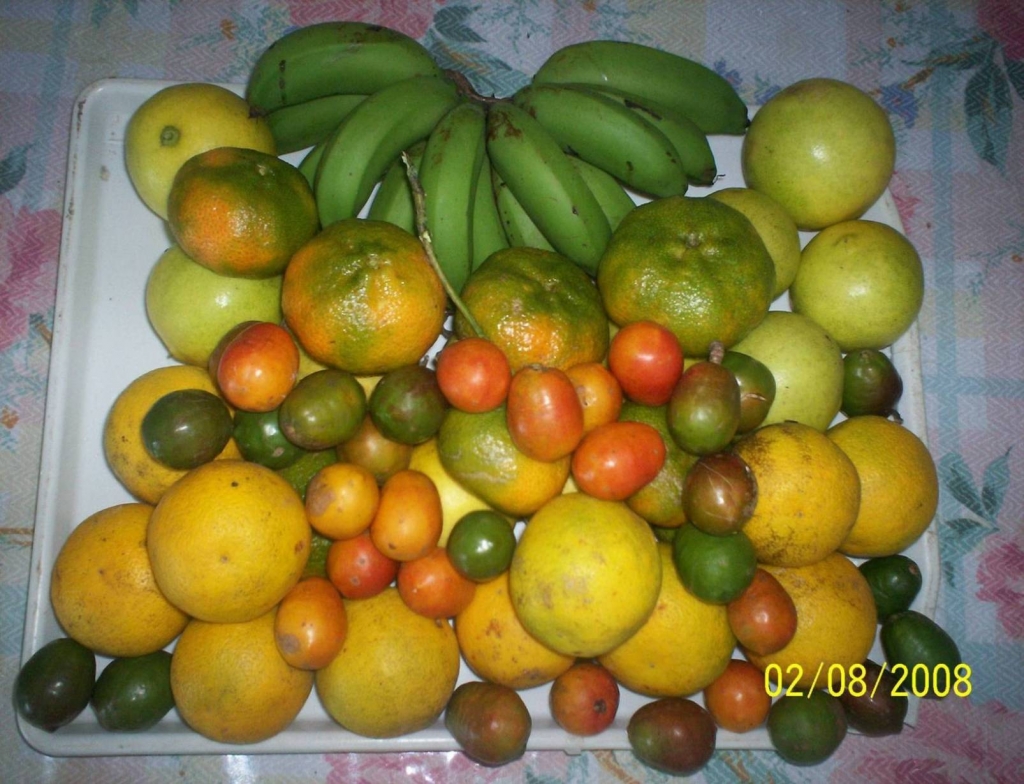 Foto de San Ignacio de Acosta, Costa Rica