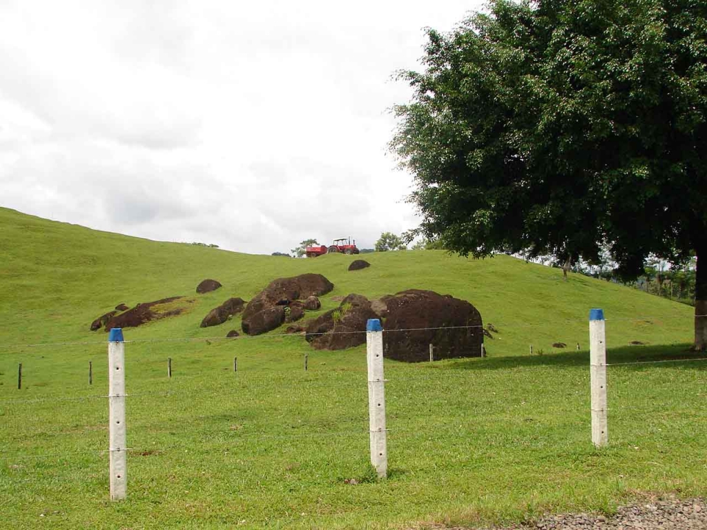 Foto de San Carlos (Alajuela), Costa Rica