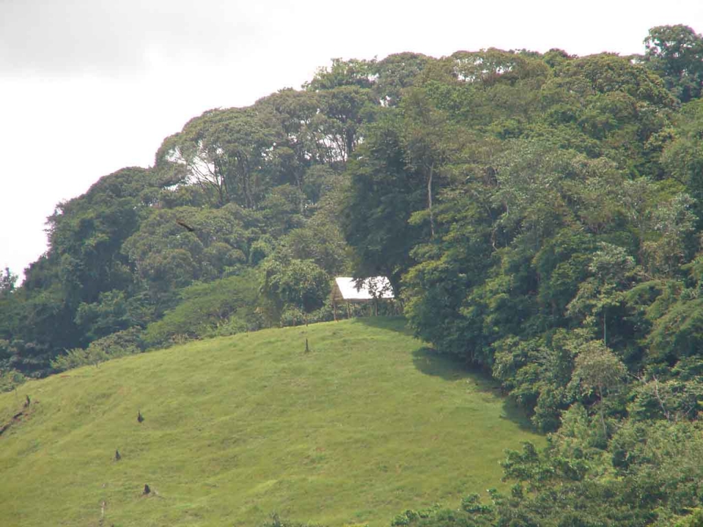 Foto de San Carlos (Alajuela), Costa Rica