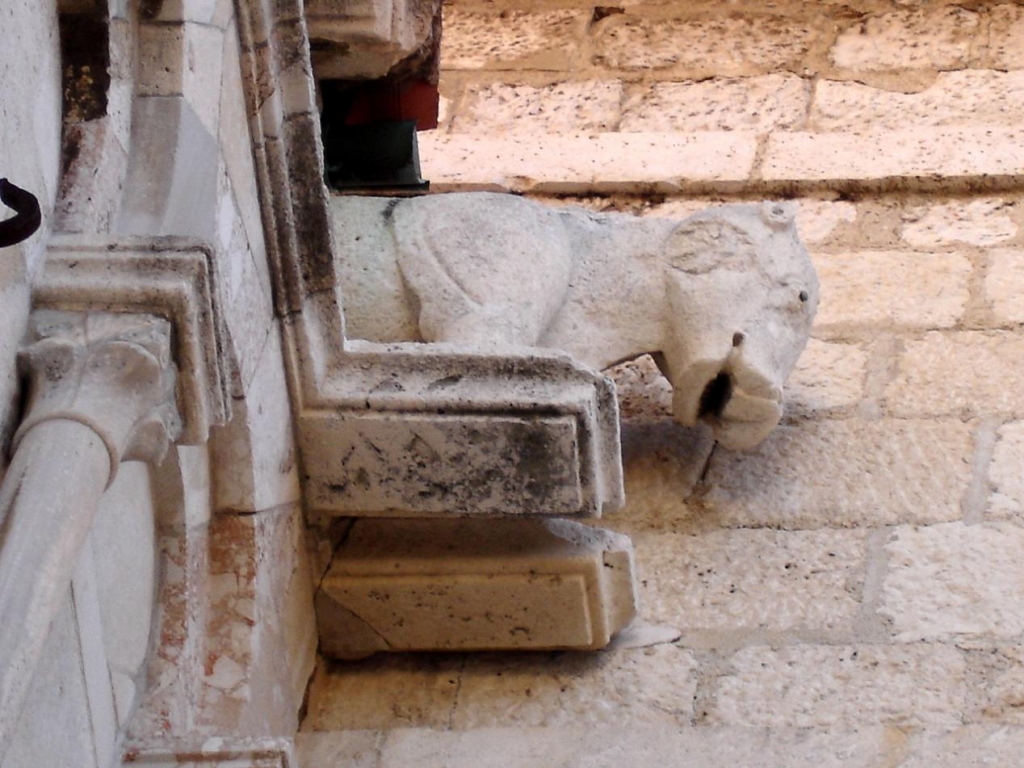 Foto de Zadar, Croacia