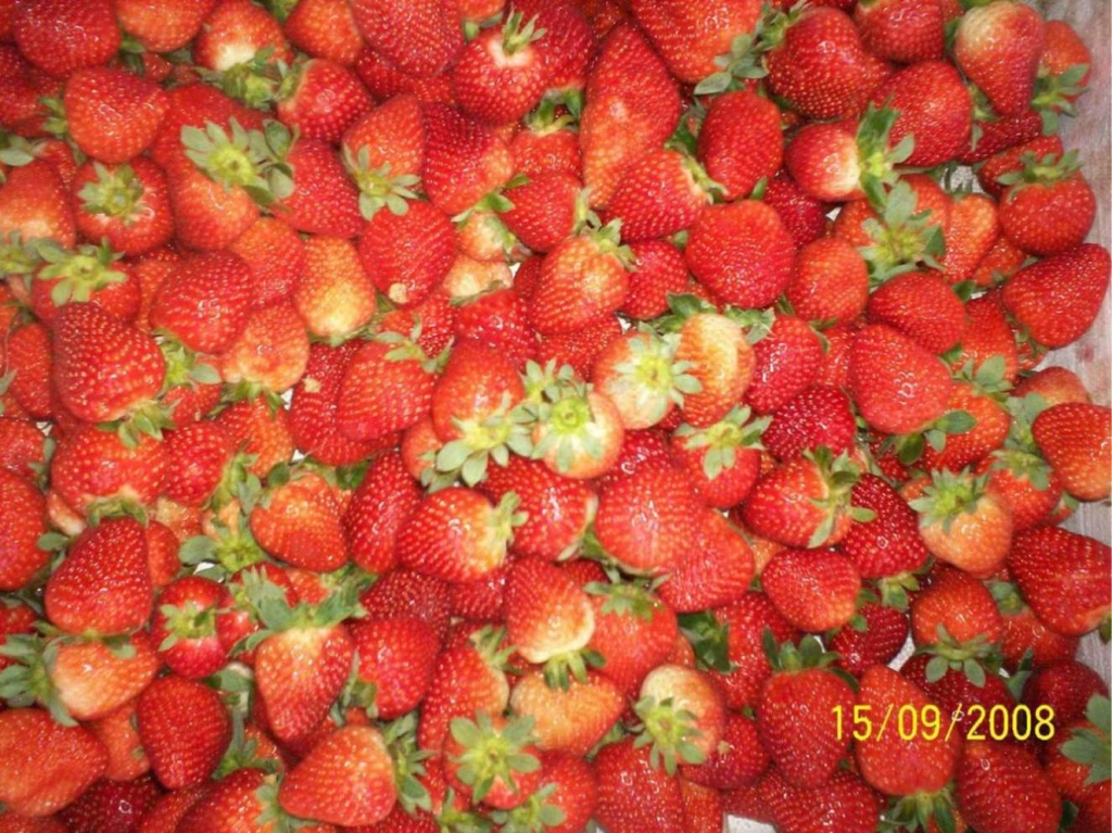 Foto de Alajuela, Costa Rica