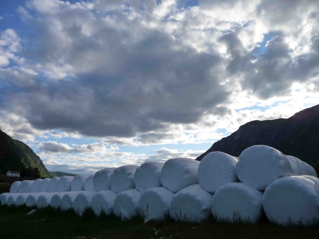 Foto de Skjolden, Noruega