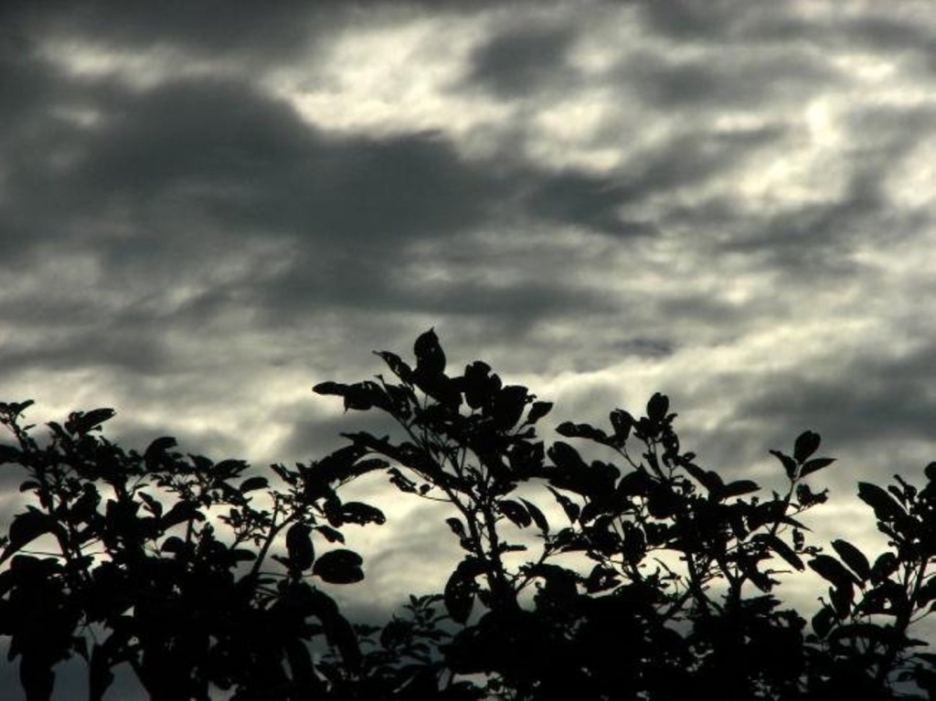 Foto de Guanacaste, Costa Rica