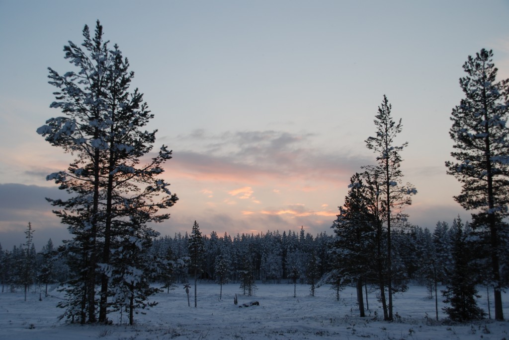 Foto de Sally (Lapland), Finlandia