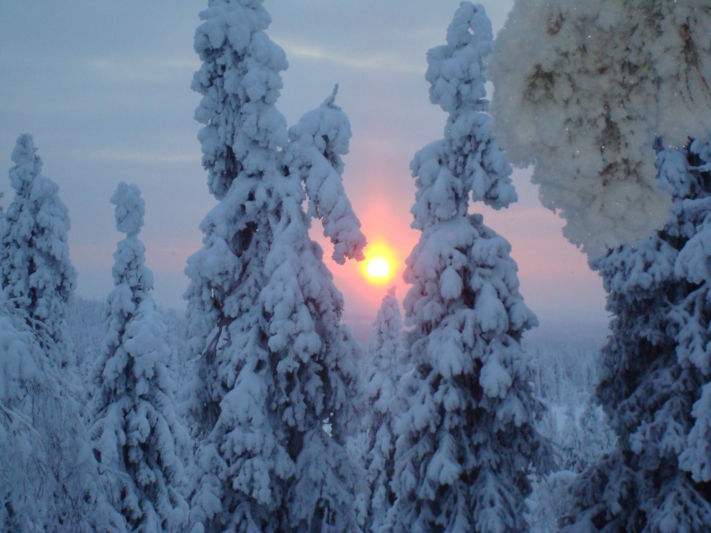 Foto de Sally (Lapland), Finlandia
