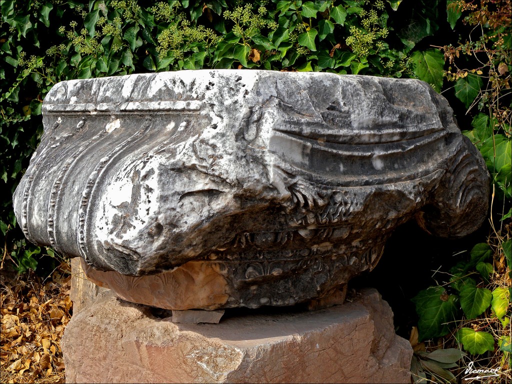 Foto: 111003-037 DELFOS - Delfos, Grecia