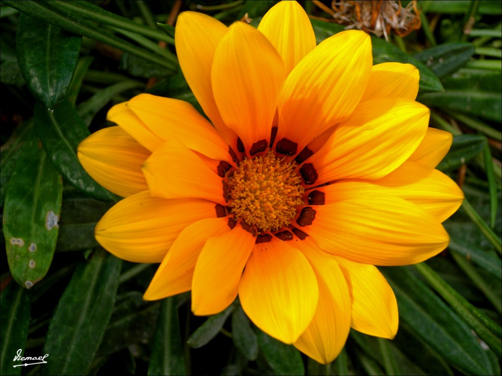 Foto: 111003-176 DELFOS - Delfos, Grecia