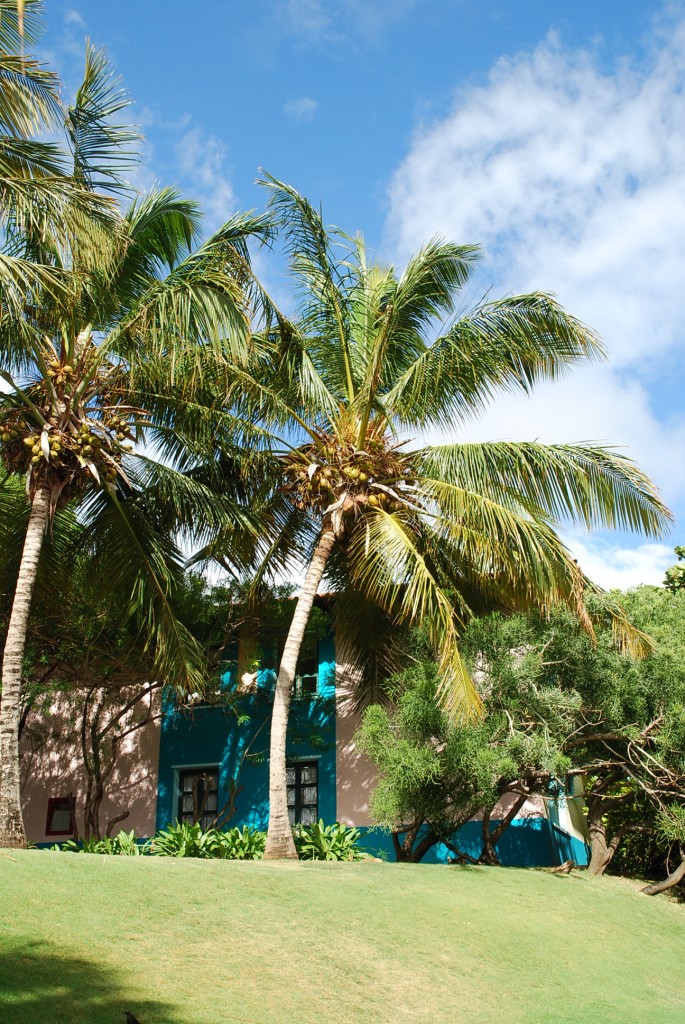 Foto de Isla Margarita, Venezuela