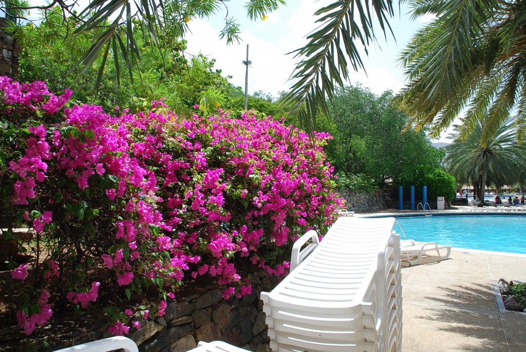 Foto de Isla Margarita, Venezuela