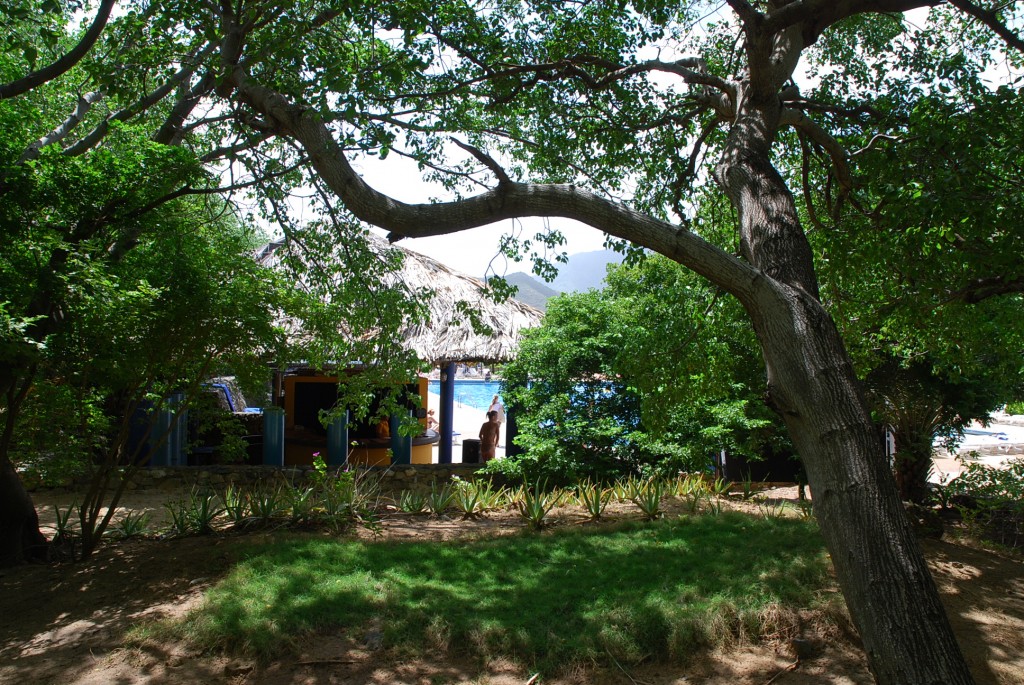 Foto de Isla Margarita, Venezuela