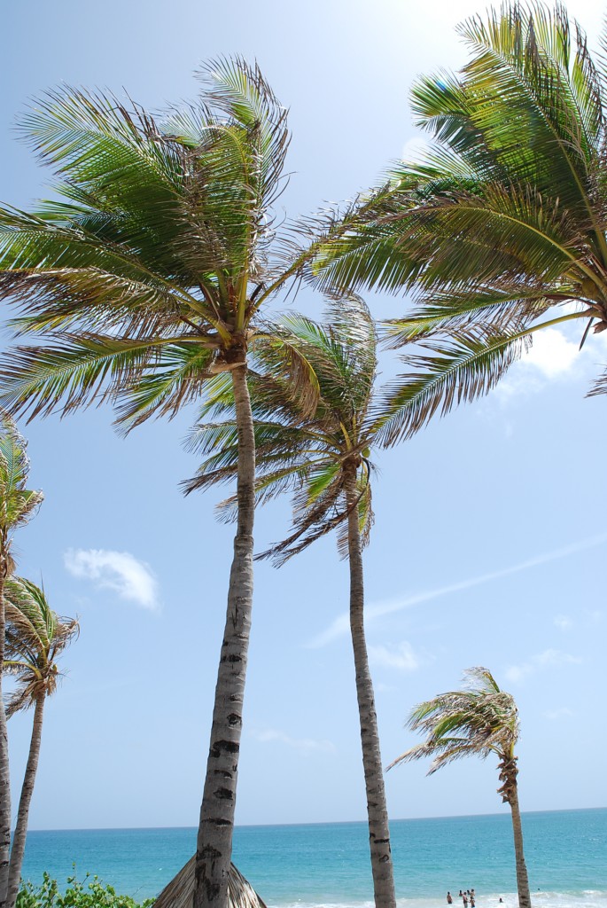 Foto de Isla Margarita, Venezuela