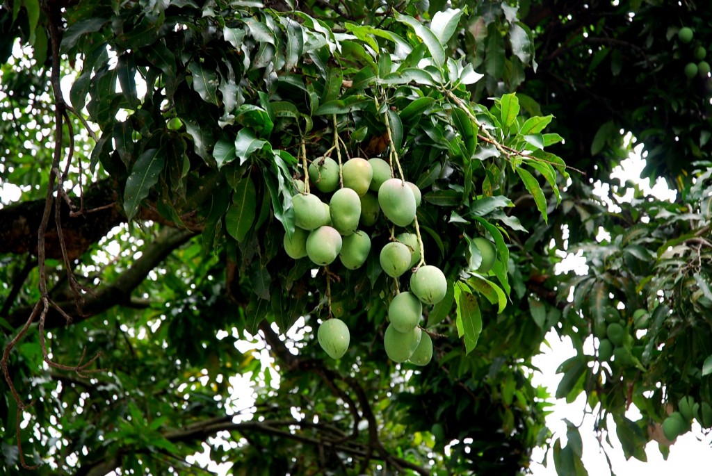 Foto de Caracas, Venezuela