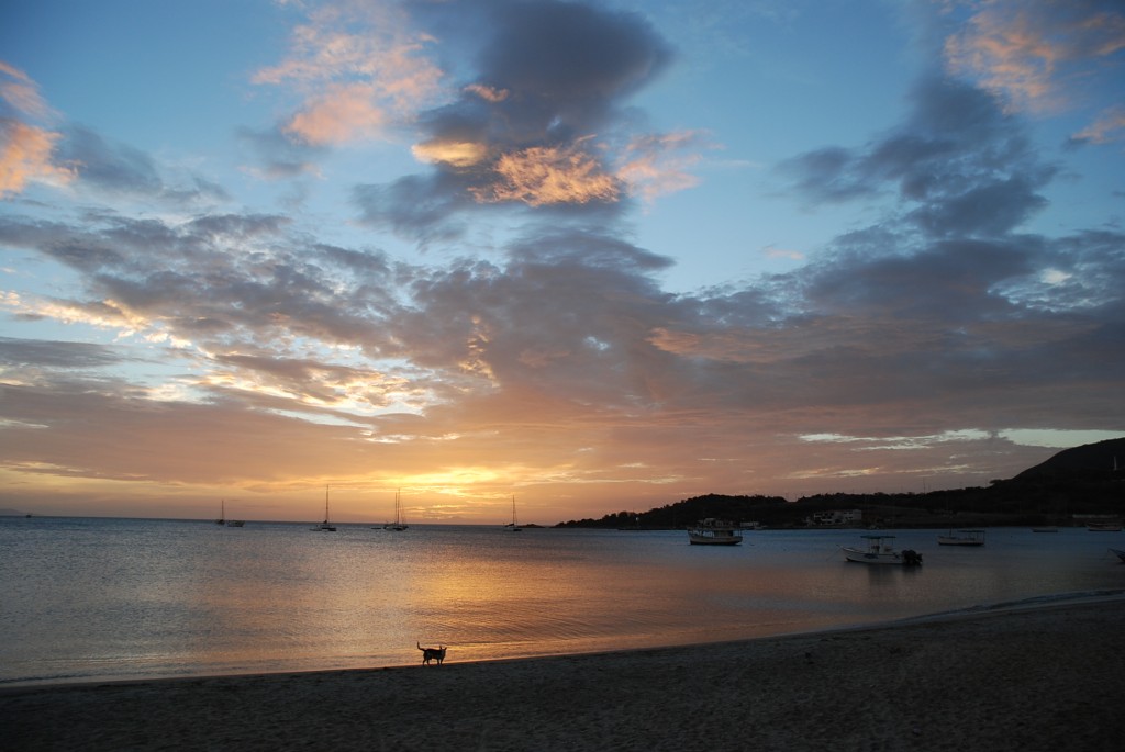 Foto de Isla Margarita (Safari), Venezuela