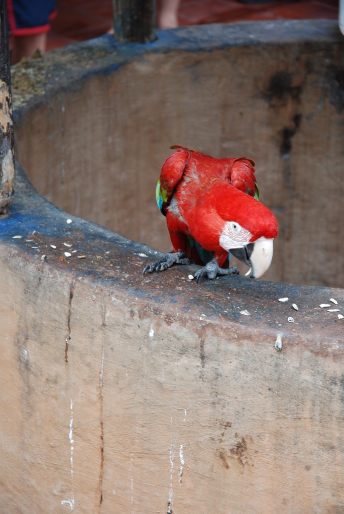 Foto de Isla Margarita, Venezuela