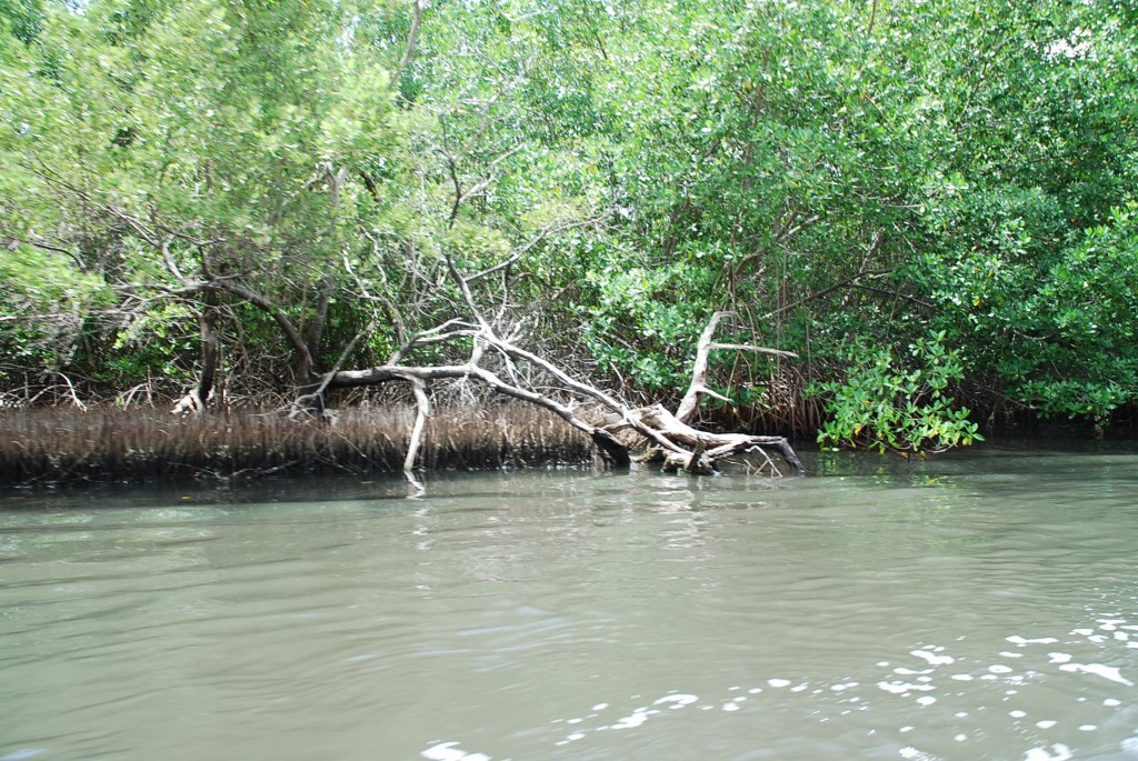 Foto de Isla Margarita, Venezuela