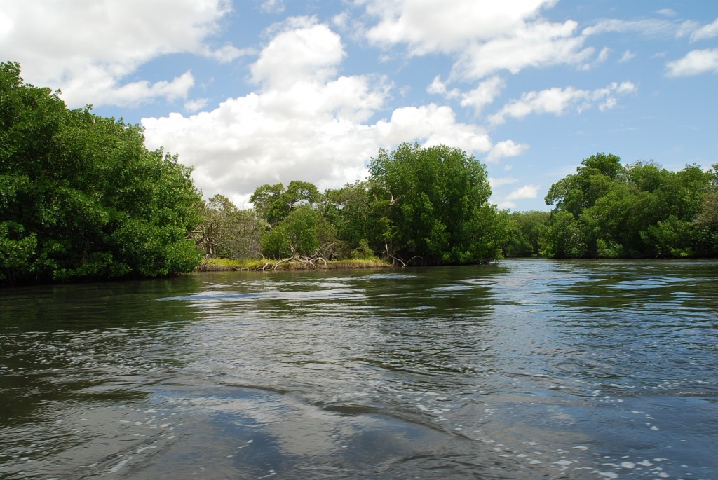 Foto de Isla Margarita, Venezuela