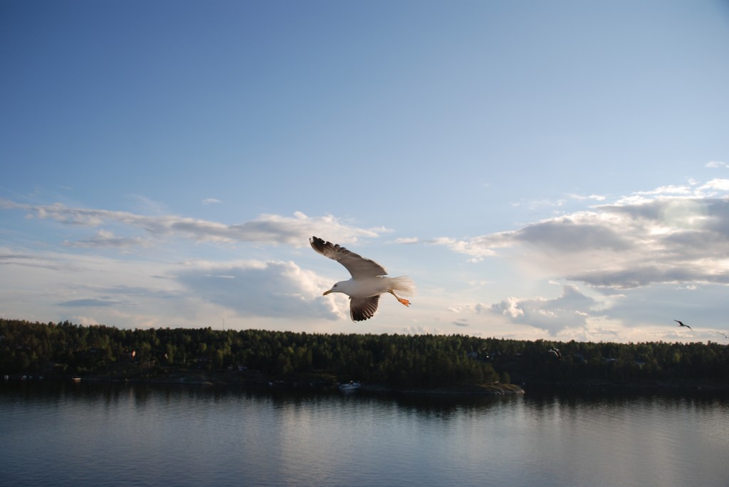 Foto de Mar Báltico, Rusia