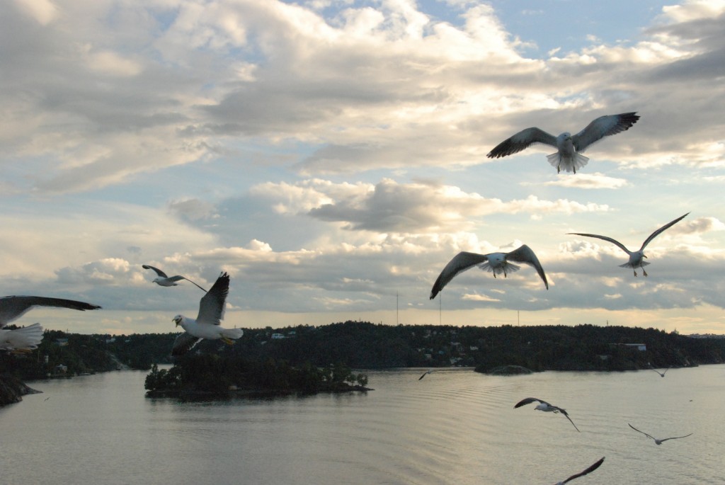 Foto de Mar Báltico, Rusia