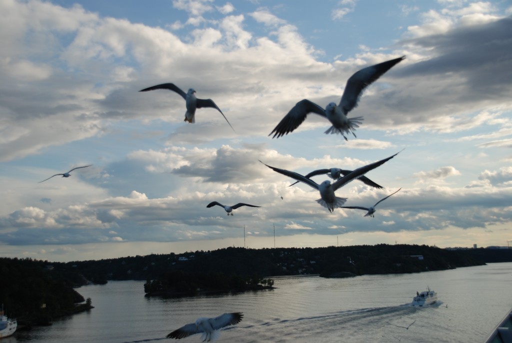 Foto de Mar Báltico, Rusia