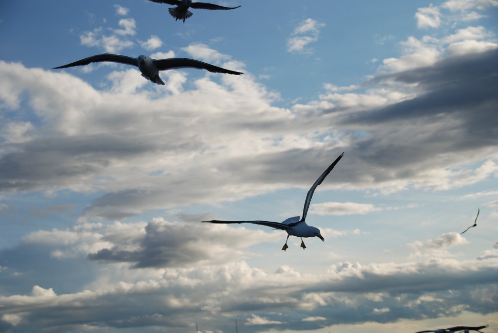 Foto de Mar Báltico, Rusia
