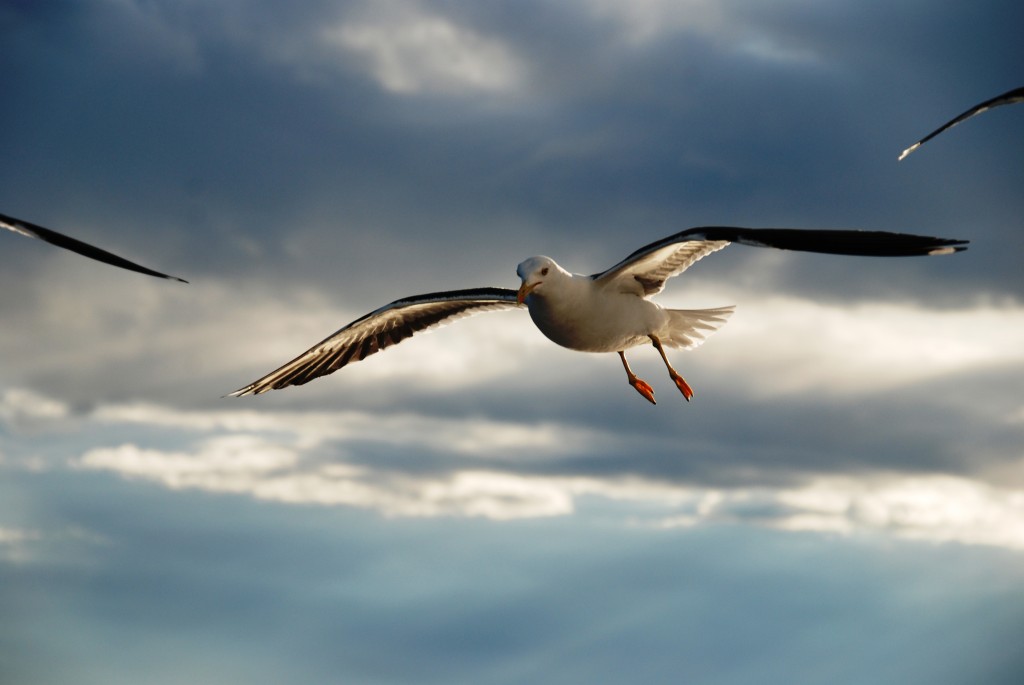 Foto de Mar Báltico, Rusia